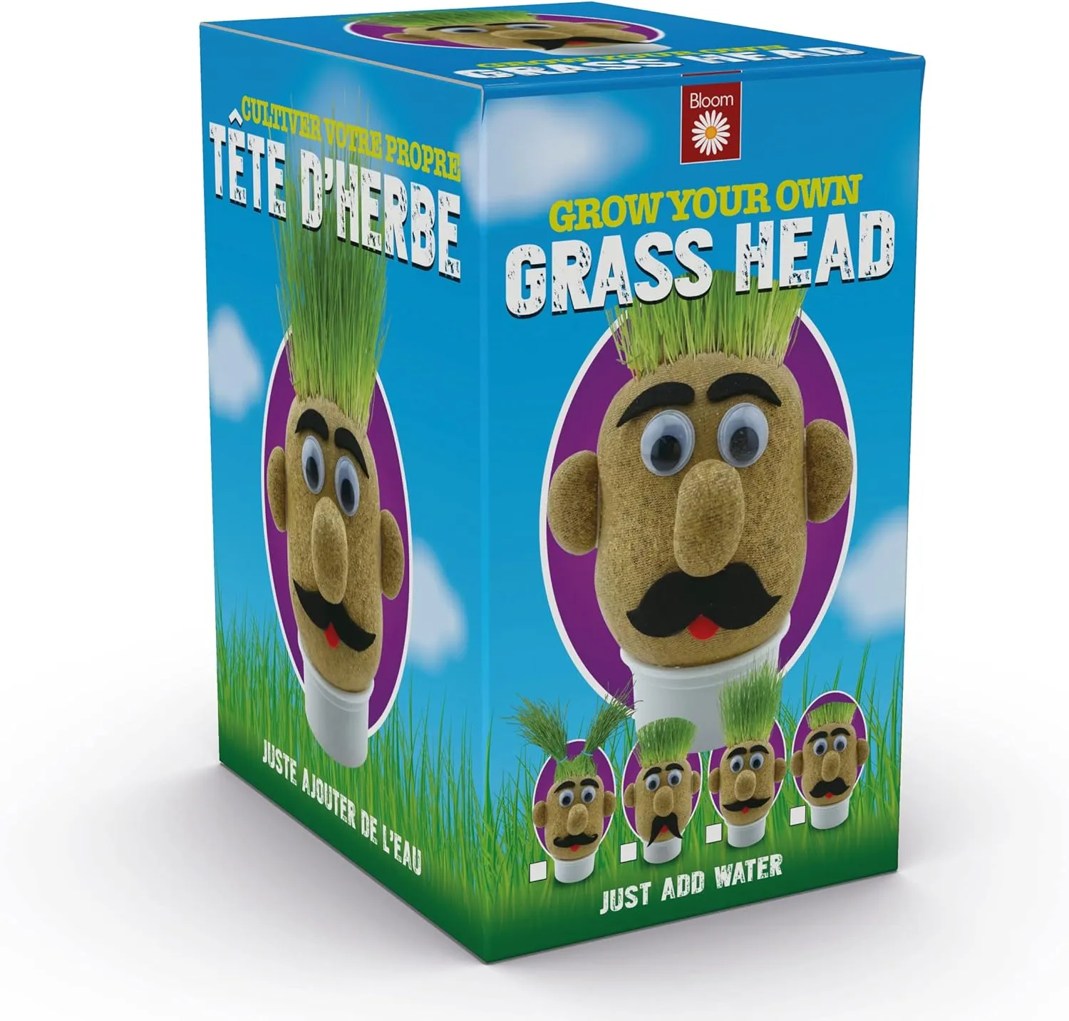 Funtime Gifts Grasshead Novelty Grow Your Own Grass Head, Green