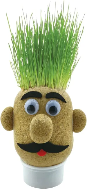 Funtime Gifts Grasshead Novelty Grow Your Own Grass Head, Green