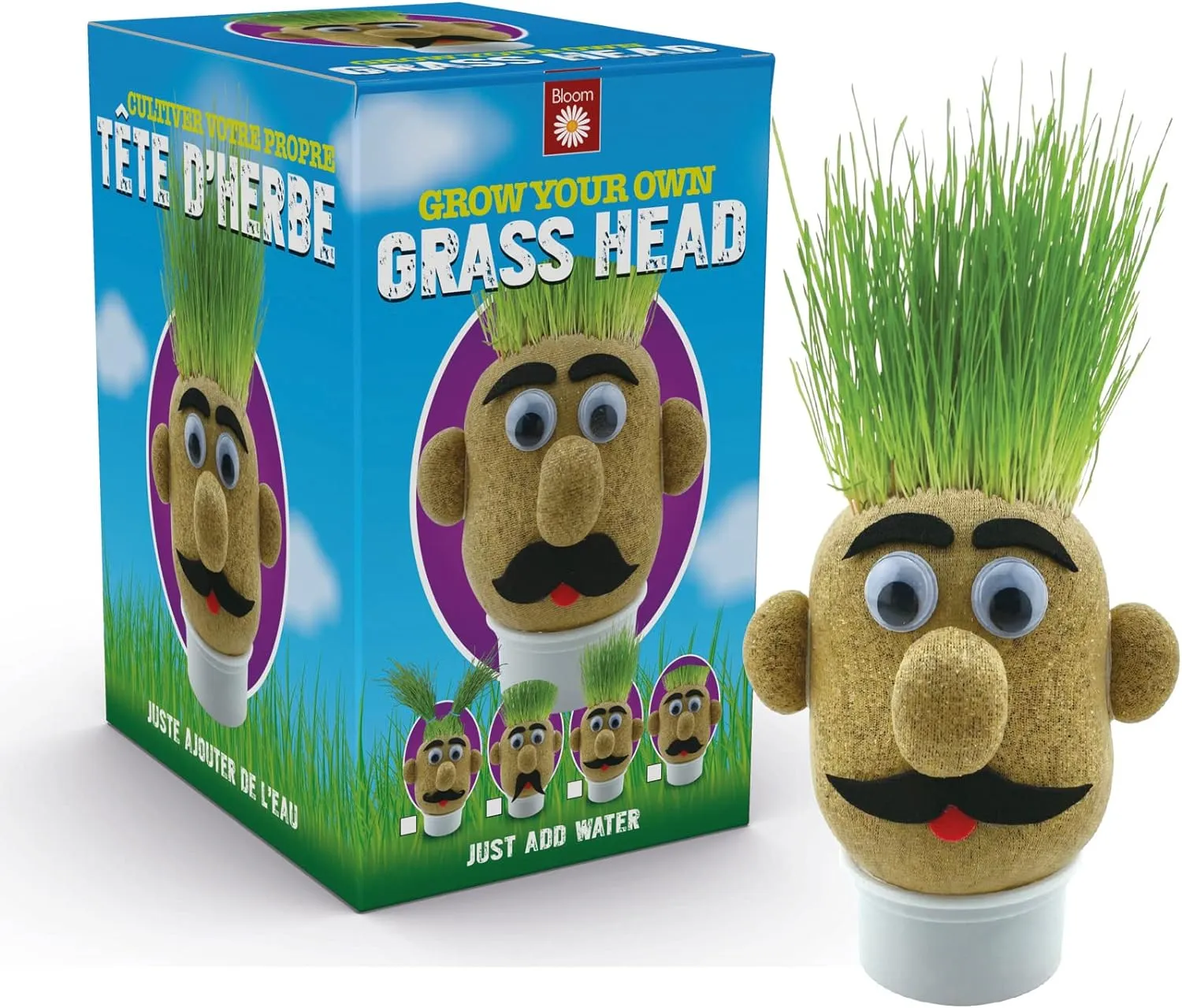 Funtime Gifts Grasshead Novelty Grow Your Own Grass Head, Green