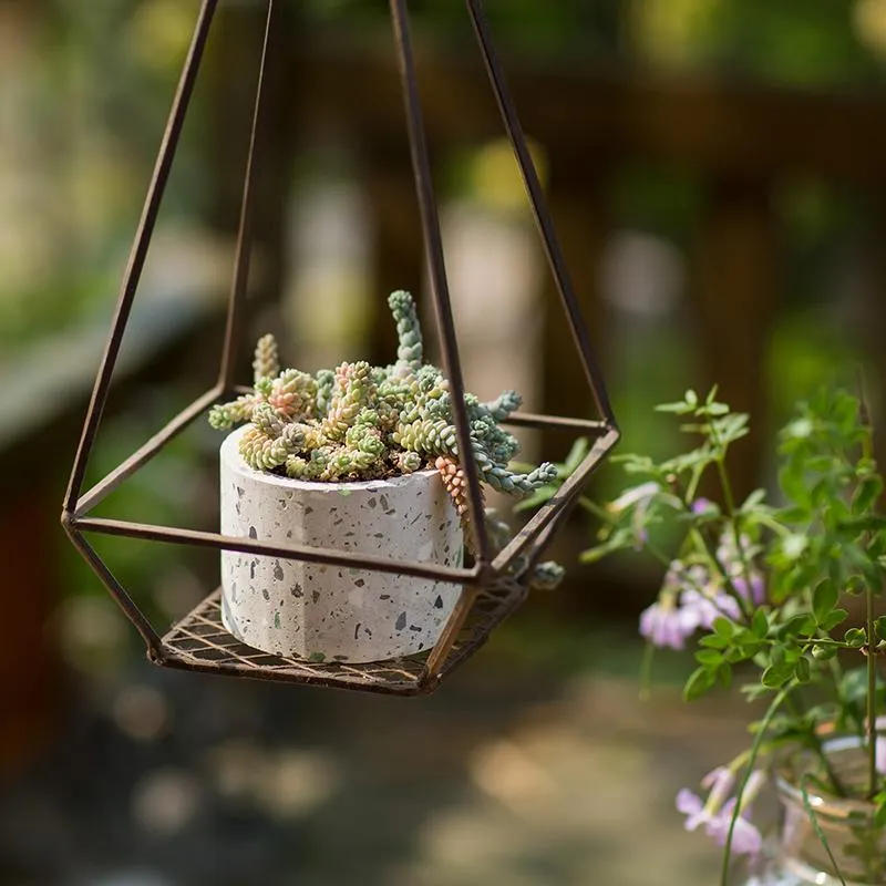 Speckled Cement Planter in Various Shape, Colors, and Sizes
