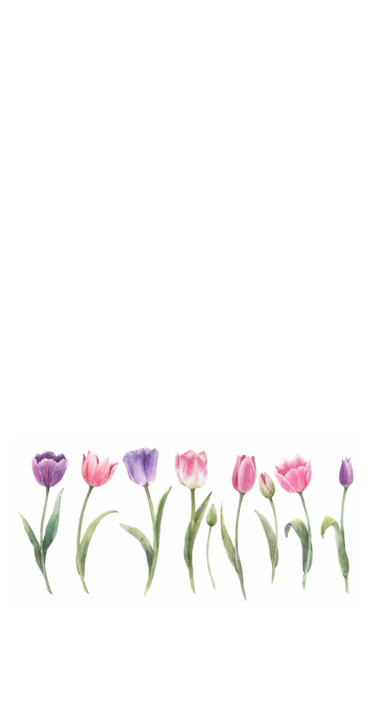 Tulip Stripe - Printed Guest Towel